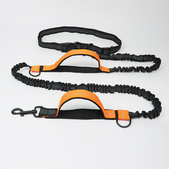 Jogging Adjustable Pet Leash