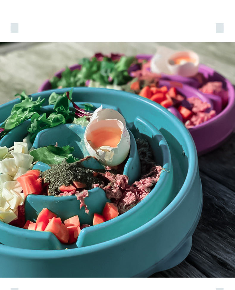 Anti-choke Pet Slow Feeding Bowl