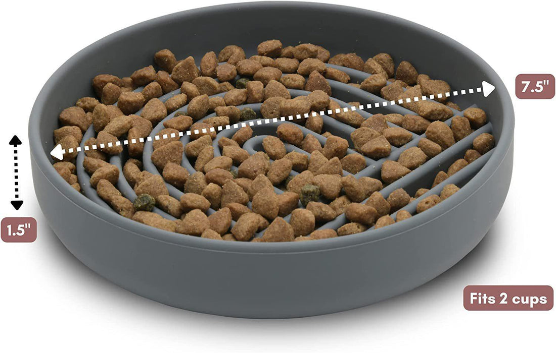 Pet Simple Slow Feeding Bowl